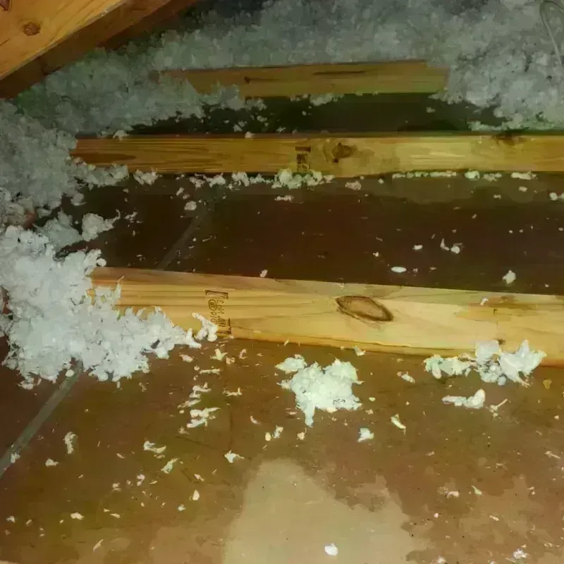 Attic Water Damage in State Center, IA